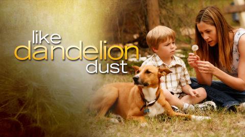 Like Dandelion Dust
