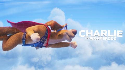 Charlie the Wonder Dog
