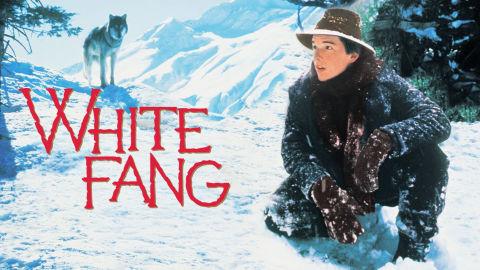 White Fang